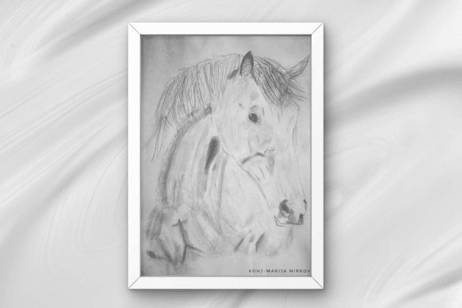 Марија Мирковић (13) II награда