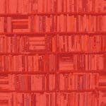 Анкета часопис Змај